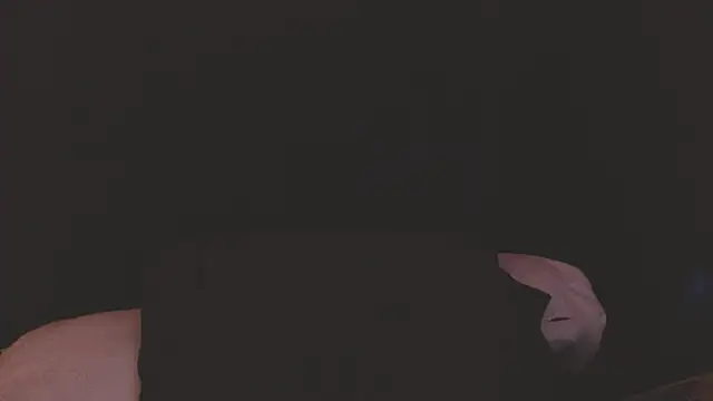 GenitalWars's cam snapshot