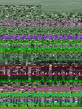 fillgd's cam snapshot