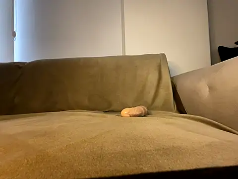 Banshhee's cam snapshot