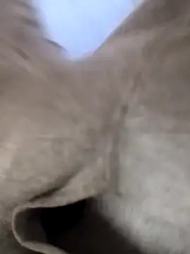 huzi518 live sex cam