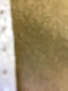 Anna_Nobel's cam snapshot