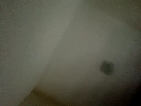 Nelsinho45's cam snapshot