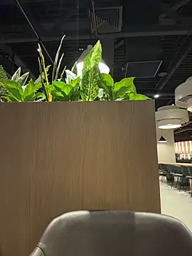 KristiRich's cam snapshot