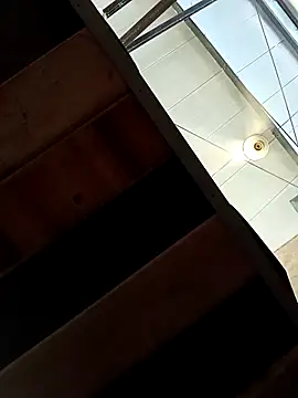 MonasticCanine's cam snapshot