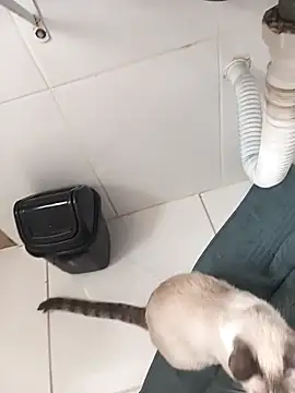 lobomisterioso13's cam snapshot