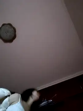 PP-51's cam snapshot