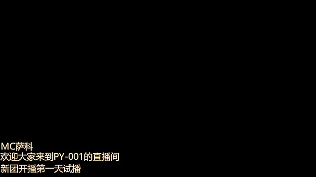 PY-001's cam snapshot