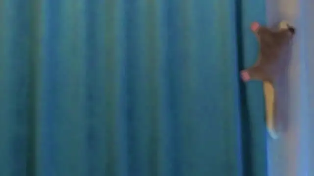 AngelicRice's cam snapshot