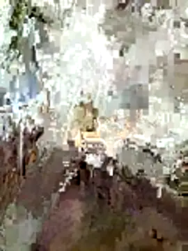 EchoicLox live sex cam