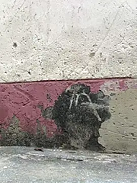 Crazyqueenxxx's cam snapshot