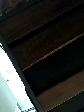 MonasticCanine's cam snapshot