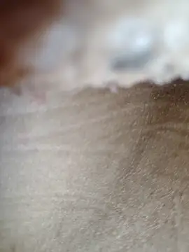 New_merrid_couple's web cam