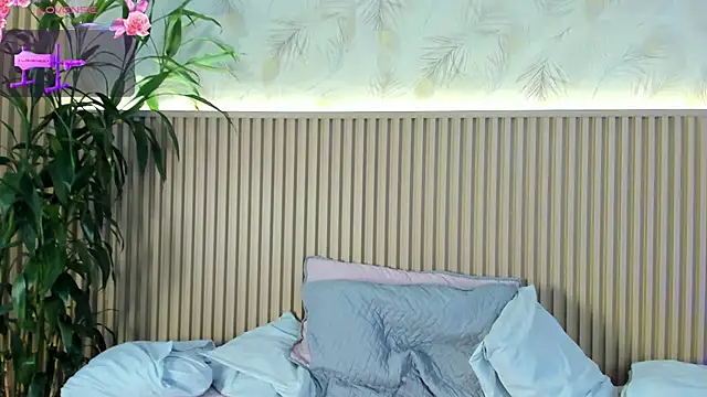 Liss-Reyes's cam snapshot