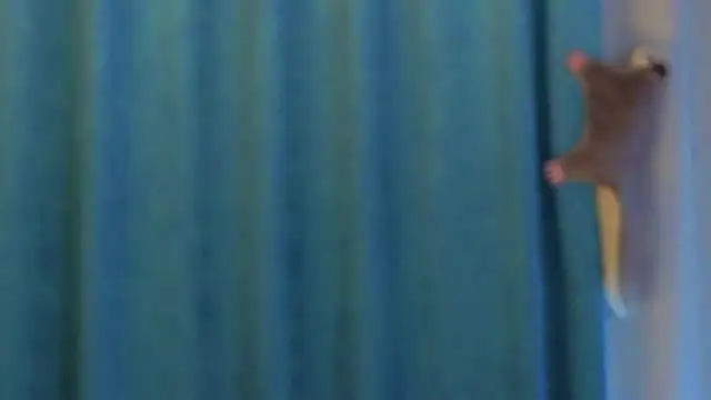 AngelicRice's cam snapshot