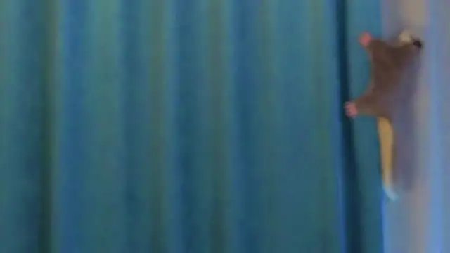 AngelicRice's cam snapshot