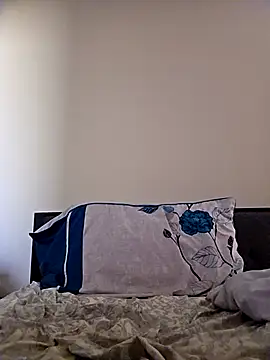 Kritakul's cam snapshot