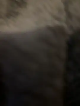 TheSteph's cam snapshot