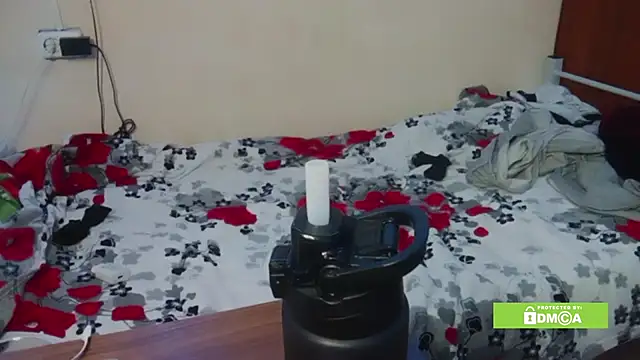 linavox's cam snapshot