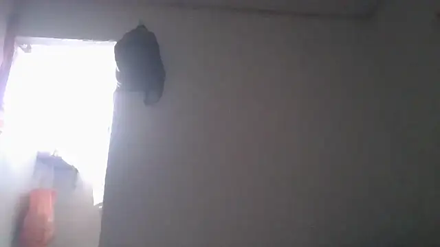 GiveLove1 live sex cam