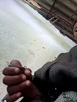 cholitobo's cam snapshot