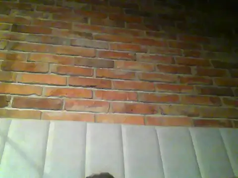 BoonzieBrush's cam snapshot