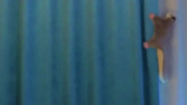 AngelicRice's cam snapshot