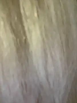 xDinnax's cam snapshot