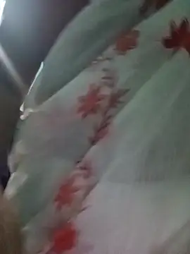 Sumi-roy's cam snapshot