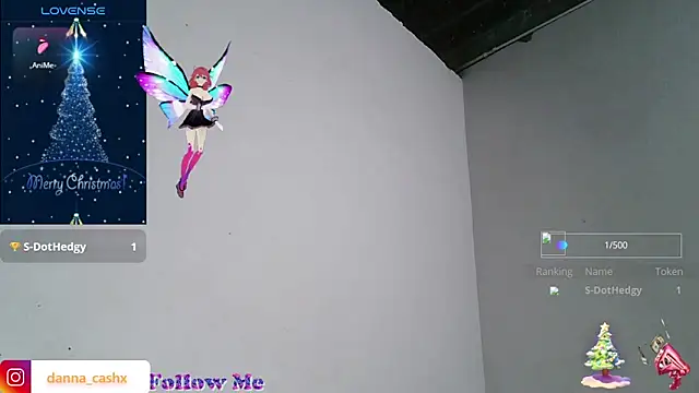 Dannaplacer's cam snapshot