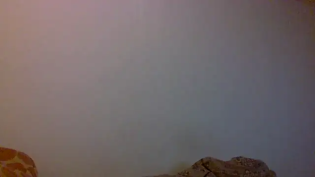 Kaappi1967's cam snapshot