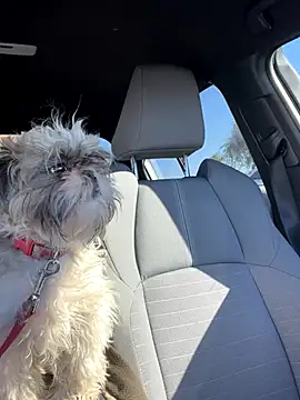 SafeinouterSpace's cam snapshot