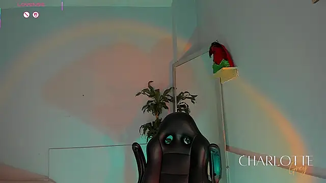 charlotte__grey live sex cam