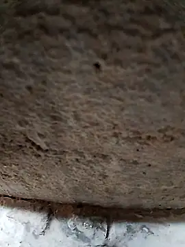 Cr_sonam's cam snapshot