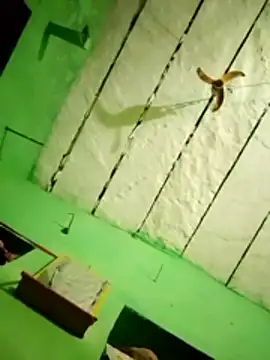 yanuw's cam snapshot