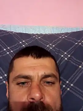 Pintiliescu's cam snapshot