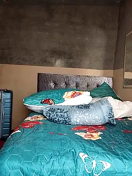 Moretl's cam snapshot