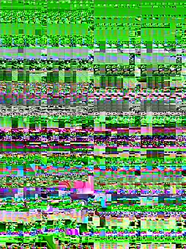 Kiee-lee's cam snapshot