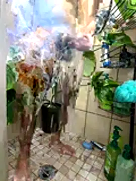 MetaDaddy's cam snapshot