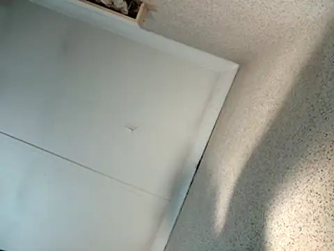 seductivescamp's web cam