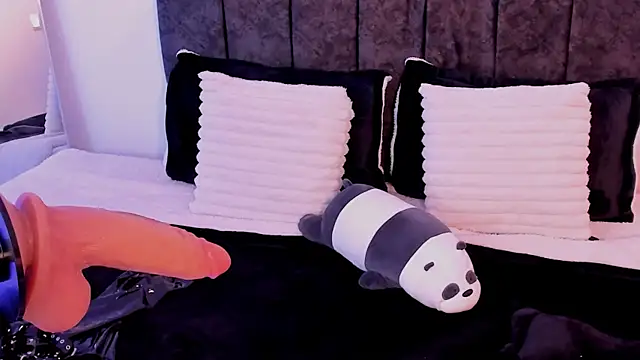 Taylormaxwell's cam snapshot