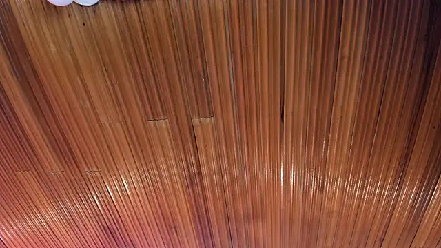 helena_1gv's cam snapshot