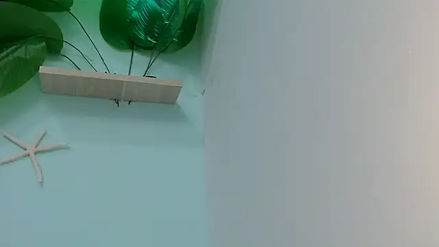 salomesmit666's cam snapshot