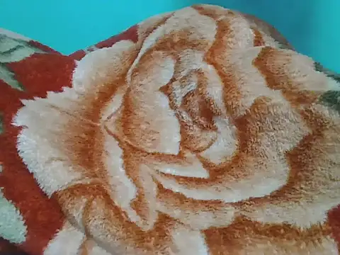 Bangalore_7inche's cam snapshot