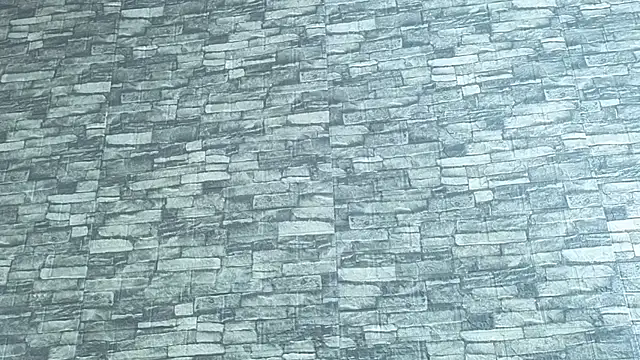 TokyoSky's cam snapshot