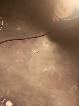 dulcessecretos's cam snapshot