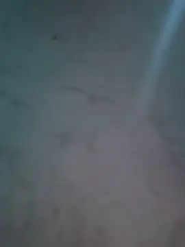 AlexanderBianchi2 live sex cam