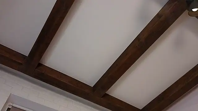 DanetteSaab's cam snapshot