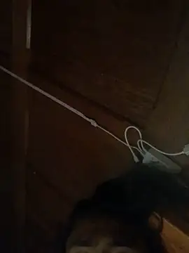 Mesonic_Empire live sex cam