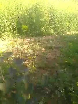 Aadityaaa07 live sex cam