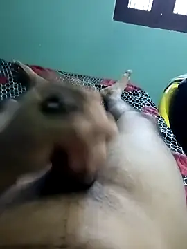 hOrnybOy_369 live sex cam